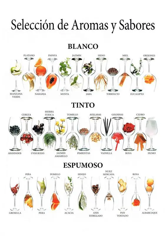aromas del vino infografía
