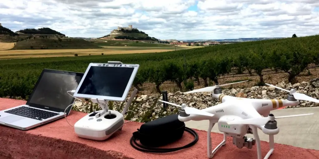 dron-viñedo