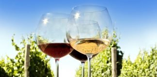 Significado de terroir significado de terroir que significa vino