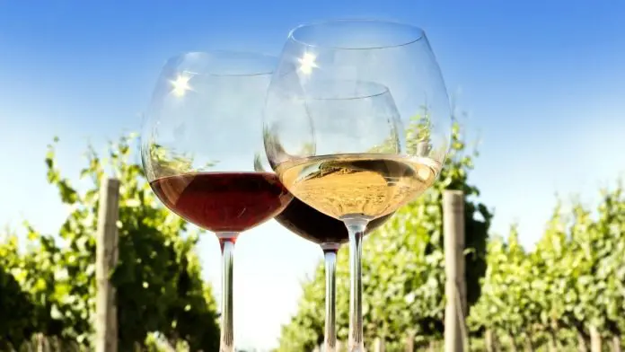 significado de terroir que significa vino