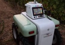 Un robot eléctrico para controlar el viñedo robot viñedo agricultura