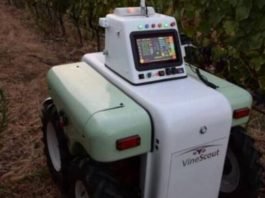 robot viñedo agricultura