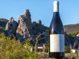 que son y como son los vinos naturales características