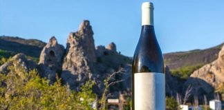 ¿Cómo son los vinos naturales? 5 Características que son y como son los vinos naturales características
